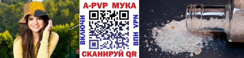 Alfa_PVP СК КРИС  Йошкар-Ола 