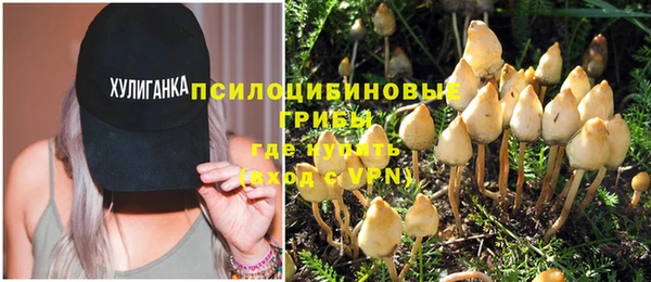 apvp Бугульма